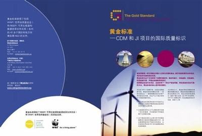 化工政策洞察心得体会